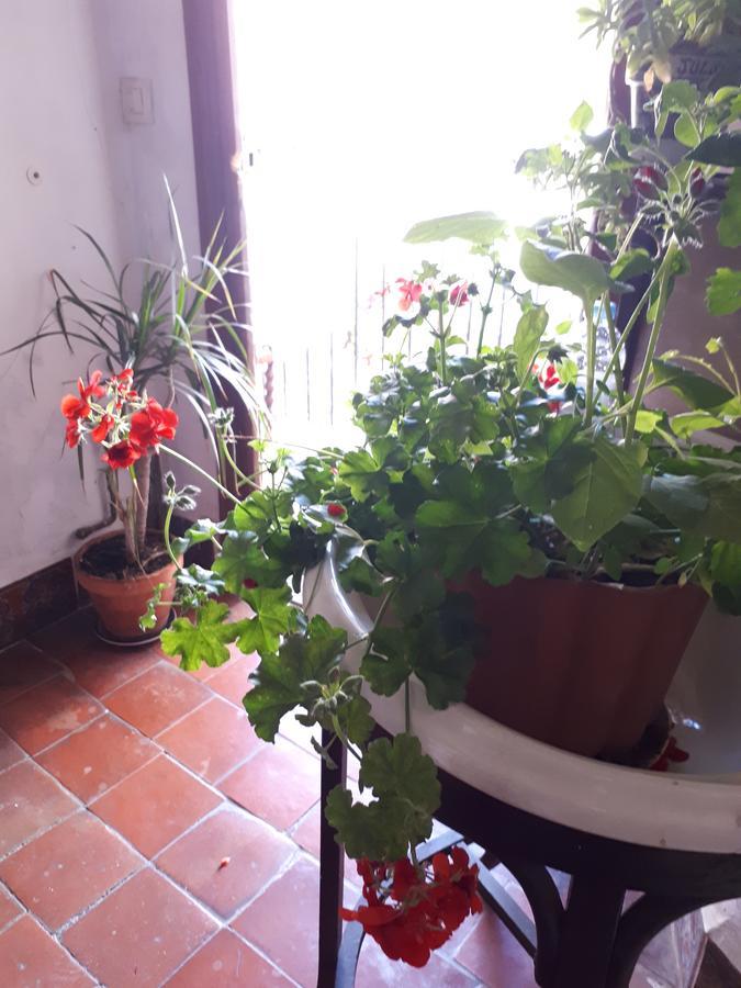 Fonda Del Tozal Hotel Teruel Luaran gambar